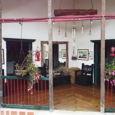 Finca Campestre La Adelita B&B Salento Zewnętrze zdjęcie
