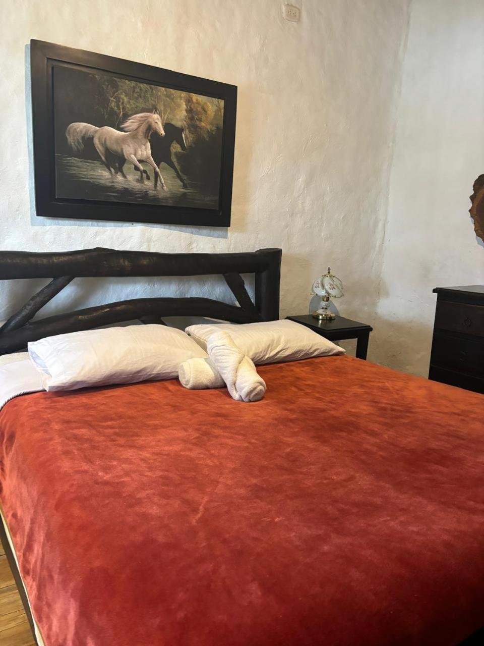 Finca Campestre La Adelita B&B Salento Zewnętrze zdjęcie